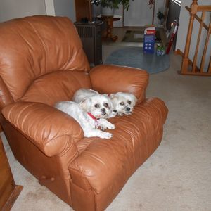 Meet your Posher, Sherry